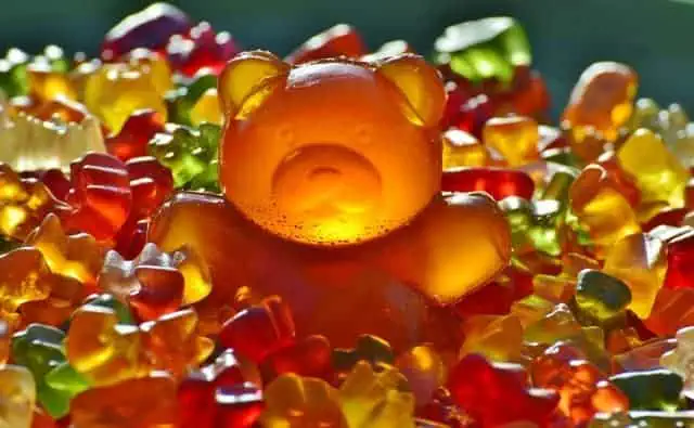 gummy bear